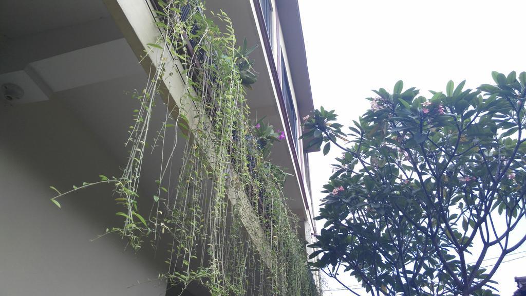 Nyoman Badri Homestay Ubud Exterior foto