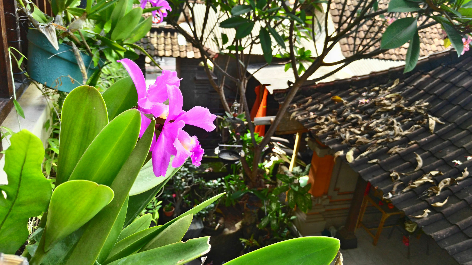 Nyoman Badri Homestay Ubud Exterior foto
